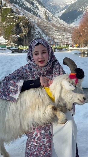 Snowfall, Pashmina, aur ek lajawab Kashmiri queen ❄️ Luxury meets nature
