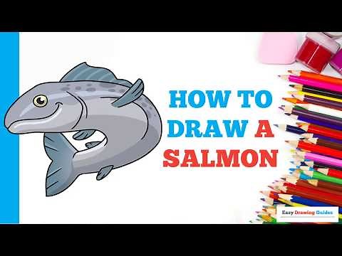 How to Draw a Salmon in a Few Easy Steps: Drawing Tutorial for Beginner Artists