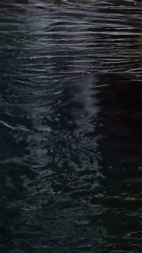 Relatable MEME Compilation 1!