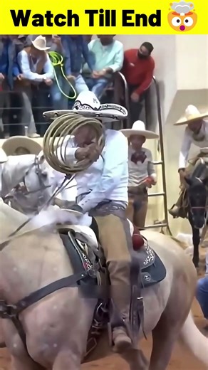 Cowboy’s Rope Caught Fire While Catching a Horse 🔥😱 #shorts #facts #cowboy