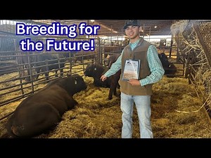 BUYING ONE OF THE BEST BULLS IN AMERICA!!! | Pharo Cattle Company |