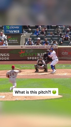 Amazing Catcher Saves Reporter During Game