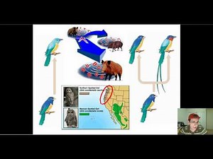 Isolation & Evolution