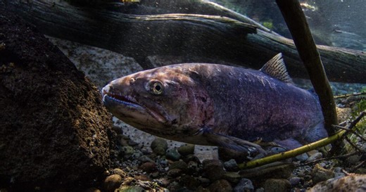 Oregon's September fishing hotspots and hunting tips