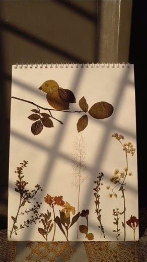 Dried Flower Collage art 🍁🍂#art #collageart #aesthetic #diy #diycrafts #reels #yt #ytshorts #youtube