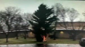 15K views · 799 reactions | This pine tree didn't have a chance against that lightning strike. This was caught on camera at Wautoma High School in Wisconsin. Video Via US National Weather Service Green Bay | Meteorologist Mary Mays | Facebook