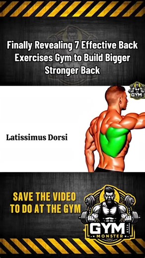 7 Effective Back Exercises for Building Strength