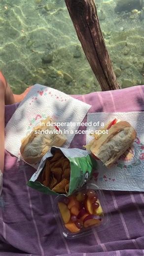 I miss summer | Sandwich