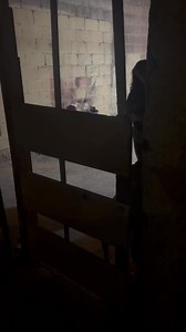 1.4K views · 26 reactions | Entrega para la Señorita Judith 殺 #floreriaenciudadjuarez #entregasconelpadrino #entregasinolvidablesflorerias&s Whatsapp 6564810856 Dirección: Alberto Tavalera 1130 local 5 Fraccionamiento Oasis Revolucion | Entregas Inolvidables Floreria Sys | Facebook