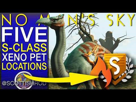 FIVE FANTASTIC S-CLASS XENO PETS - The Arena League - No Man's Sky Update - NMS Scottish Rod