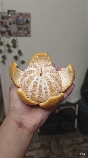 Create creatures from the real things #strangerthings #helpmemakethismakesense