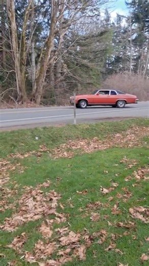 1974 Oldsmobile Omega S