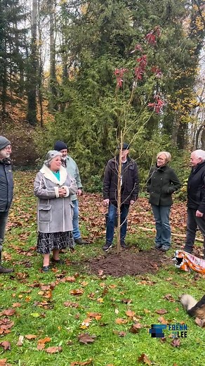 7.5K views · 102 reactions | Bampflanz-Challenge mat de Frënn vun der...