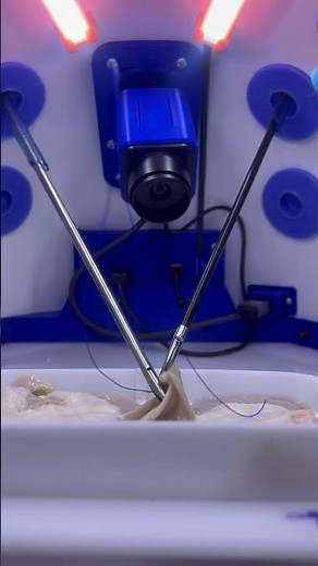 Mastering Laparoscopic Techniques on the Small Bowel