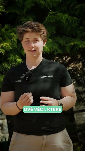Kde začít s řešením problémů u psa? | Výcvik psa