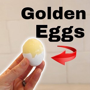 43K views · 636 reactions | Mixing an egg * INSIDE THE SHELL* | The Action Lab | Facebook