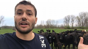 14K views · 433 reactions | In recent years, the humble cow has been...