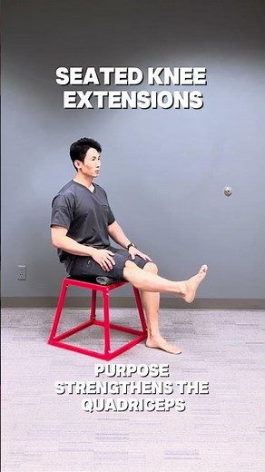 3 Seated knee Extension