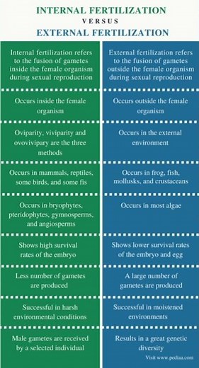 Difference between external and internal fertilization #fertilization #biology