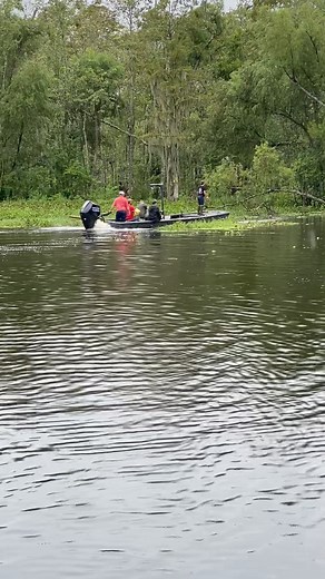 90K views · 2.9K reactions | LOOK at the bubble trail!!!! Cheyenne...