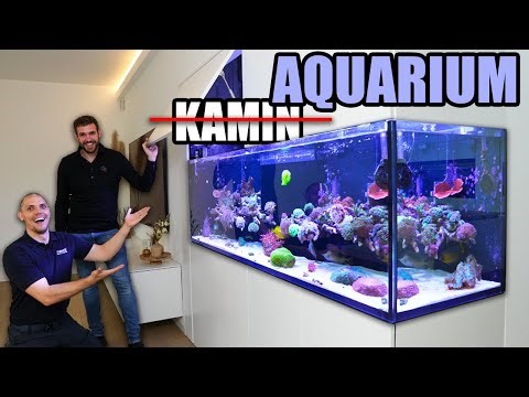 ENDLICH sehen wir Timos Hauptbecken! - Tunze