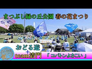 おどる遊＆team清門 - コバトンよさこい [2026.05.17 まつぶし緑の丘公園 春の花まつり]