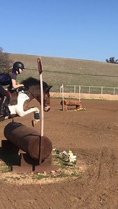 Beare equestrian on Instagram: "We had perfect weather for xc schooling yesterday. Between everyone prepping for Twin and the greenies and newbies getting out there and kicking butt, it was a fabulous day! Thanks Alex for having us!"