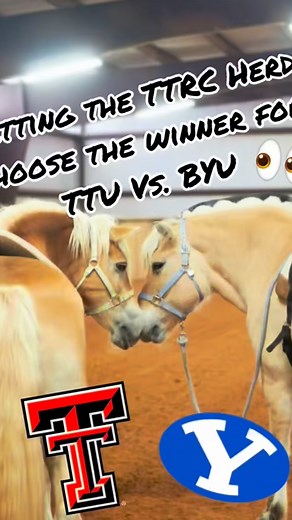 The TTRC herd has the picks for tomorrows game 🏈🎉 📣 | Texas Tech Therapeutic Riding Center