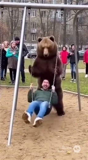 Why Is a Bear Pushing This Guy on a Swing?! 😭