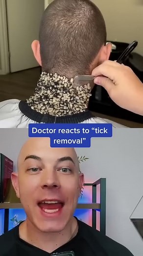 Crazy tick removal? Or fake?