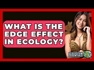 What Is The Edge Effect In Ecology? - Ecosystem Essentials