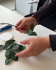 Har du litt isopor liggende? Bruk det til å lage en stiklingbåt. Se mer om fremgangsmåten her: https://www.startsiden.no/diy/hvordan-lage-en-flate-for-mange-stiklinger | Kreative idéer - Vær Kreativ
