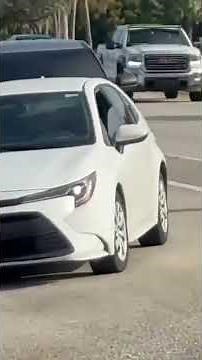 ‘I’m a US Citizen!’: Dramatic Footage Shows Florida Woman Forcibly Pulled From Car #shorts