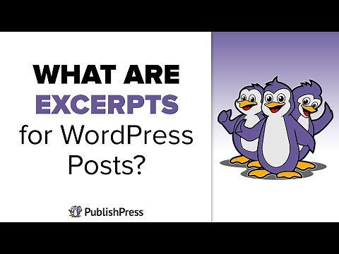 What are Excerpts for WordPress Posts?
