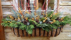 64K views · 1.2K reactions | Dress your window baskets for the holiday season! | Proven Winners | Facebook