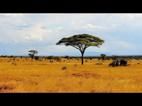 Unmasking East Africa's Fascinating Climate | Equator