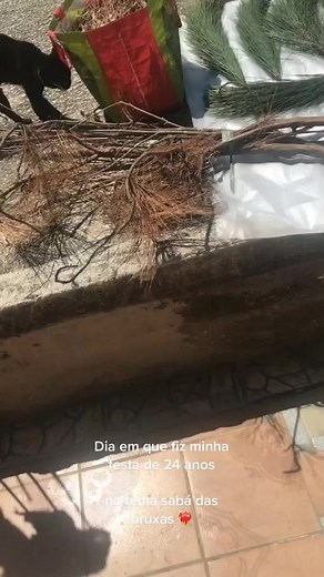 Foi incrivel 😂 esse dia vai ficar pra historia ❤️‍🔥 Ela fax os 2.4 delaaa 🔥 #happybirthday #vinde4 #sabá #whitch #blood #foryou