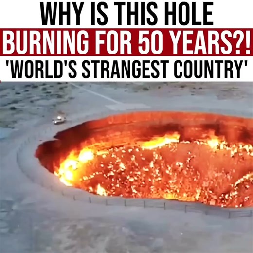 Project Nightfall on Reels