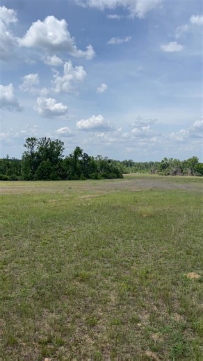 3.1K views | South Auction on Reels | Facebook