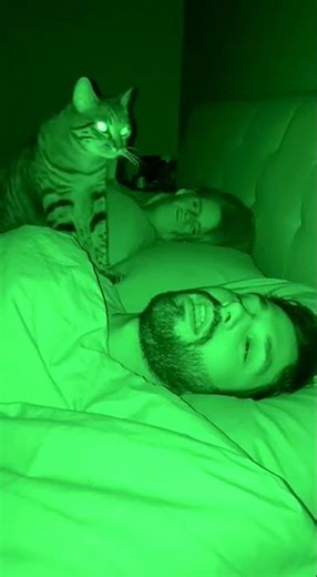 This Is Why Your Cat Watches You Sleep at Night