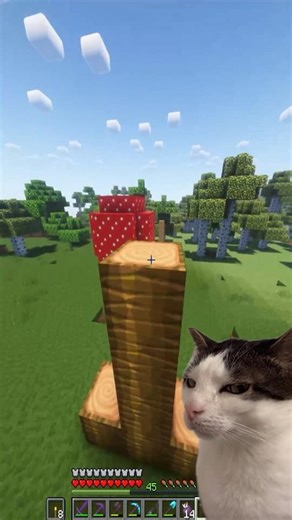 I troll Minecraft noobs… and THIS happens! 😂🔥 #minecraft #german #trolling #bedrock