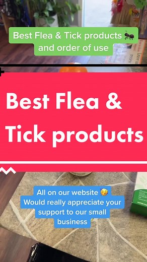 Effective Flea and Tick Prevention Products for Pets