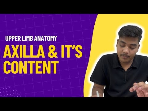 Axilla | Upper Limb Anatomy Lecture 03