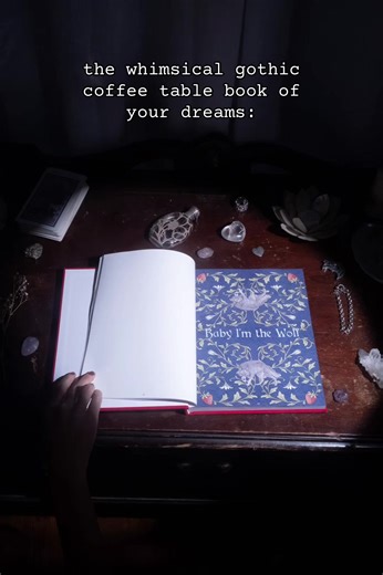 i couldn’t be happier to announce that my first-ever coffee table photo book, Baby I’m The Wolf: The Archive, will be available for pre-sale on 2/1 in a very limited quantity🫀 the book includes official photos from every music video and behind-the-scenes snapshots, as well as documentation of the development of the project’s artistic direction including early test photos, artwork, sketches, scans of music video scripts, and so much more. sign up at the link in my bio to get special access when 