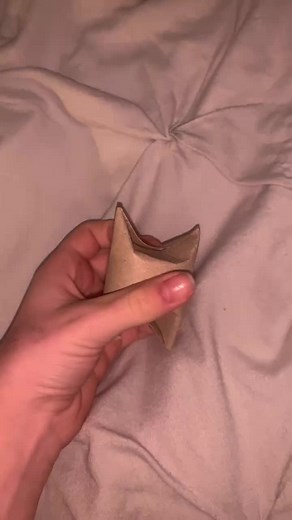 how to make a diy hamster puzzle ✨ #hamster #hamstercage #hammy #hamsterwheel #hamsterdiy #foryou #foryoupage #fyp #hamsterpuzzle #toiletroll