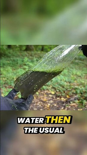 DIY Water Filter: Turn Dirty Pond Water Drinkable with a Bottle!