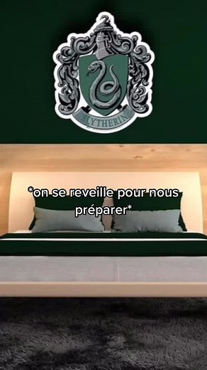 Episode 19 histoire 2 le bal de noël sera après les vacances de noël chez les Malfoy#dragotok🐍🐍 #dracomalfoy #slytherin🐍 #pourtoi #harrypotter