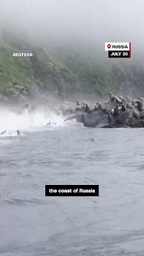 How an earthquake causes a tsunami