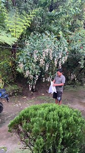 Amama papa ko acting 😆🤩 | Anit Subba