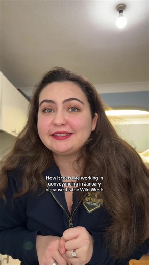 Reality of Working in Conveyancing: A January Experience